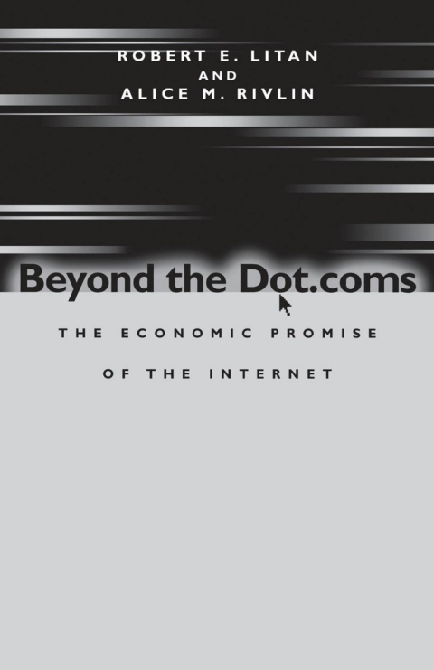 Cover image for book Beyond the Dot.coms