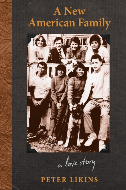 Cover image for book A New American Family