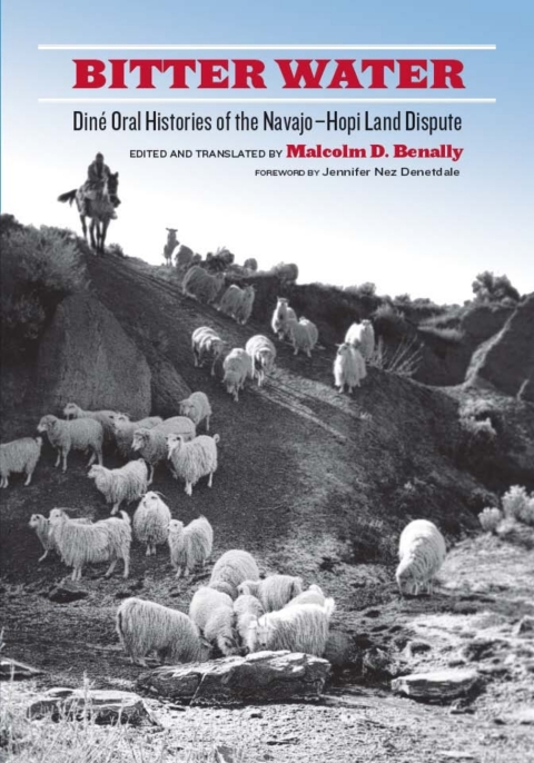 Cover image for book Bitter Water