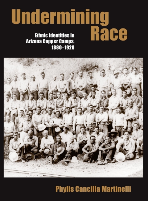 Cover image for book Undermining Race