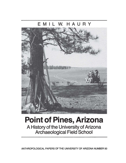 Cover image for book Point of Pines
