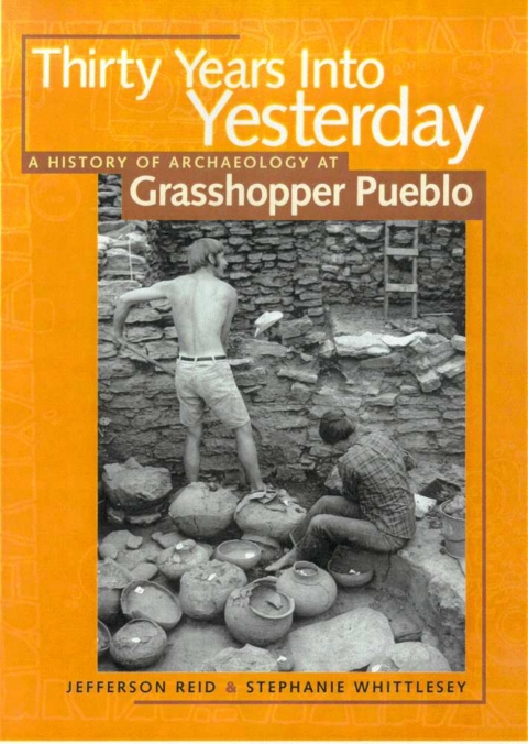 Cover image for book Thirty Years Into Yesterday