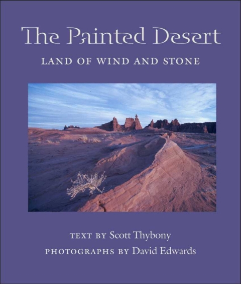 Cover image for book The Painted Desert