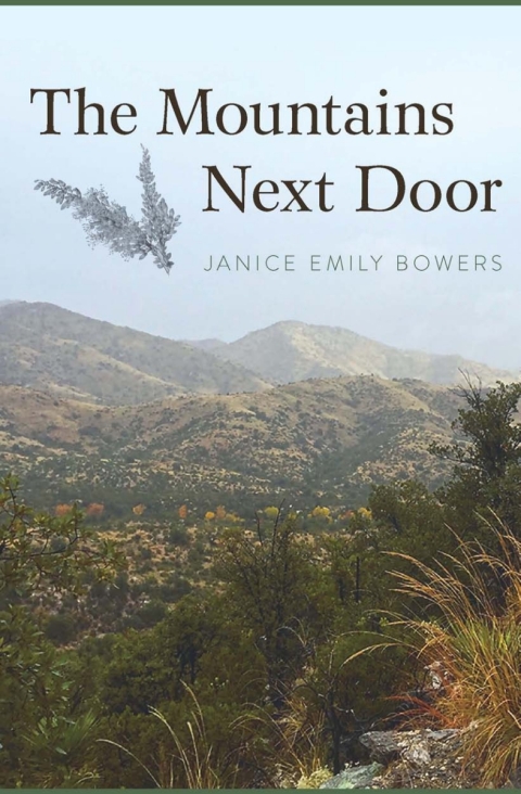 Cover image for book The Mountains Next Door