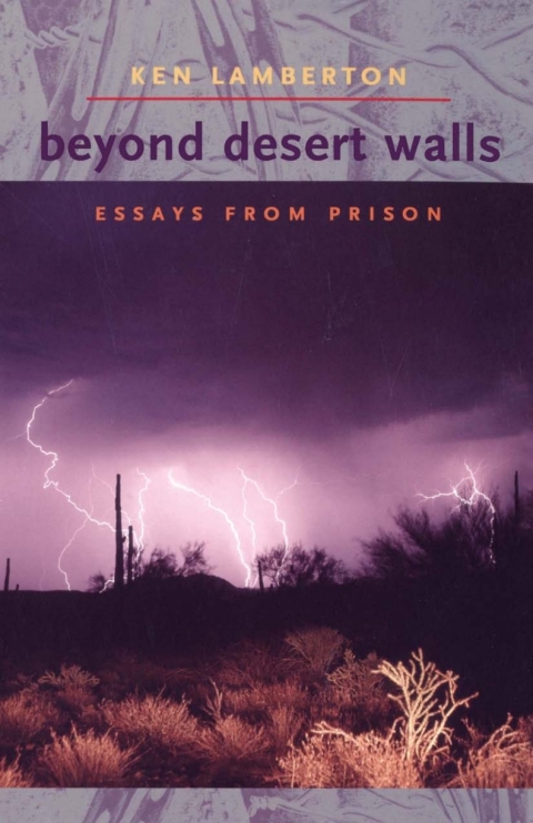 Cover image for book Beyond Desert Walls