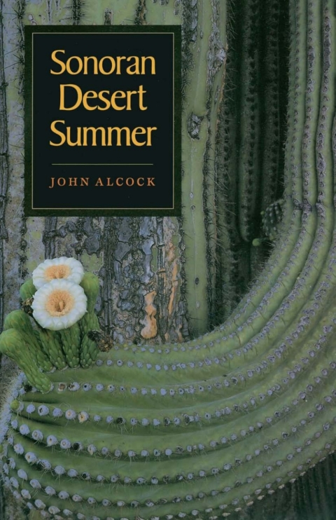 Cover image for book Sonoran Desert Summer