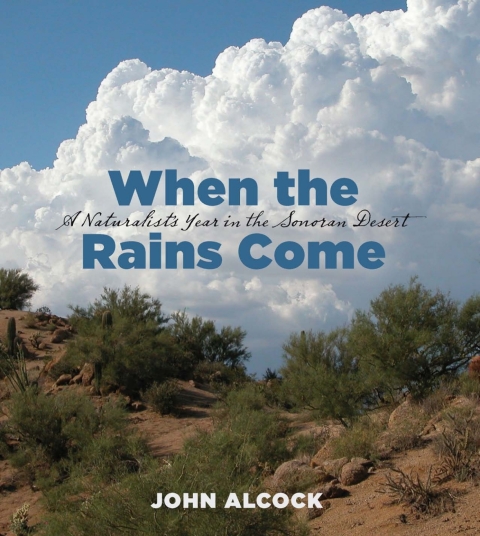 Cover image for book When the Rains Come