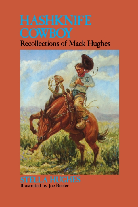 Cover image for book Hashknife Cowboy