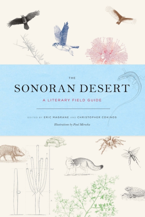 Cover image for book The Sonoran Desert