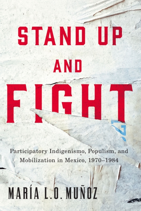 Cover image for book Stand Up and Fight