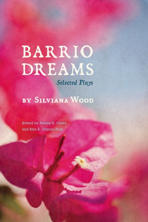 Cover image for book Barrio Dreams
