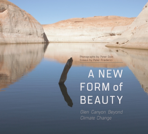Cover image for book A New Form of Beauty