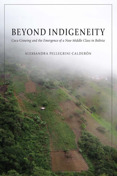 Cover image for book Beyond Indigeneity