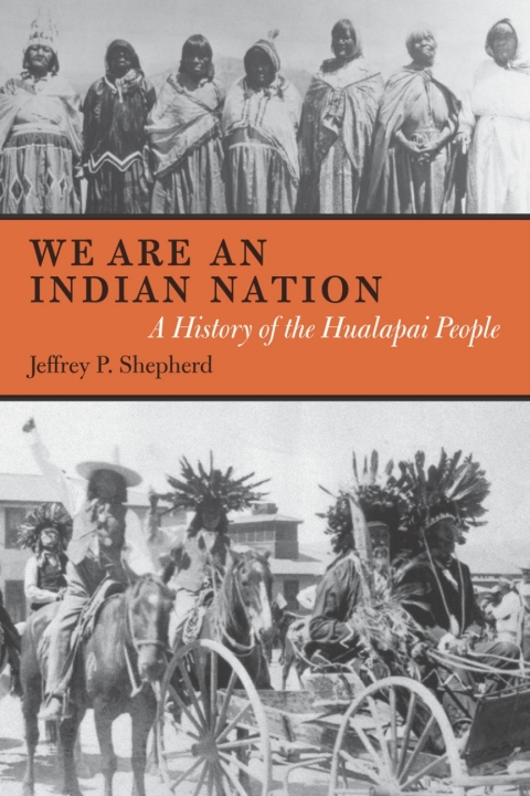 Cover image for book We are an Indian Nation
