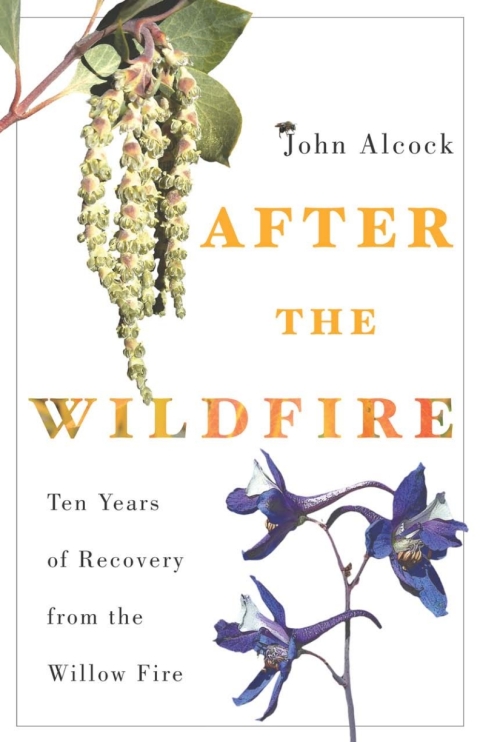 Cover image for book After the Wildfire