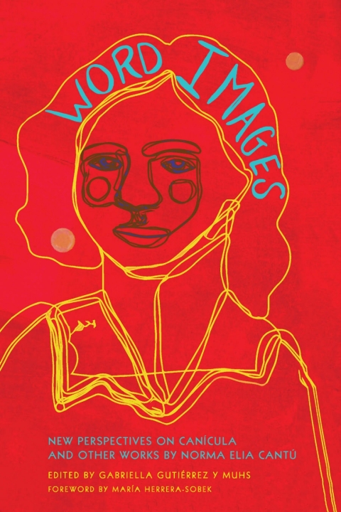 Cover image for book Word Images