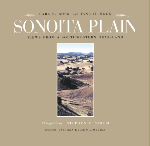 Cover image for book Sonoita Plain
