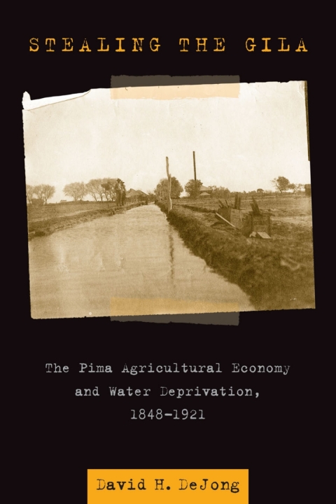 Cover image for book Stealing the Gila