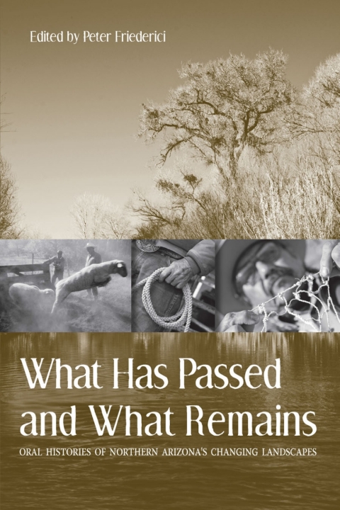 Cover image for book What Has Passed and What Remains