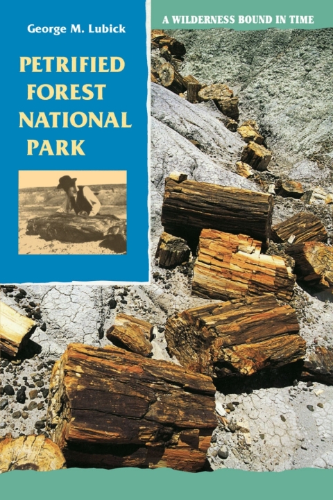Cover image for book Petrified Forest National Park