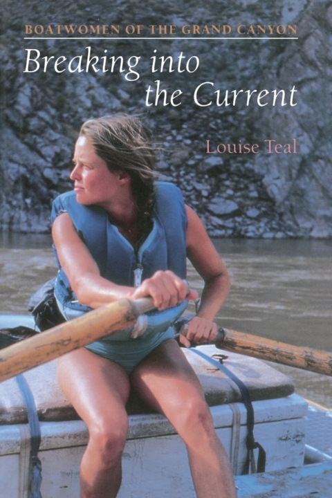 Cover image for book Breaking Into the Current