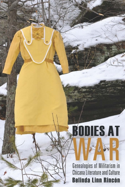 Cover image for book Bodies at War