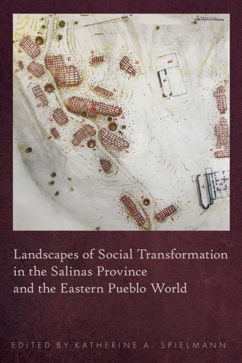 Cover image for book Landscapes of Social Transformation in the Salinas Province and the Eastern Pueblo World