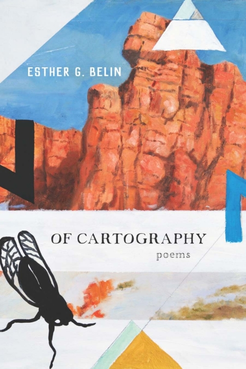 Cover image for book Of Cartography