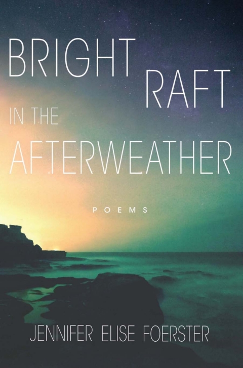 Cover image for book Bright Raft in the Afterweather