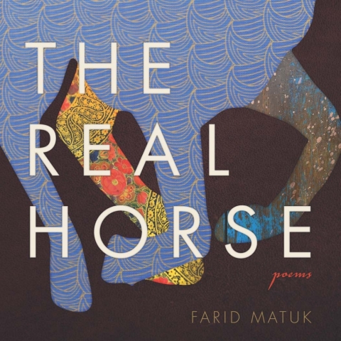Cover image for book The Real Horse