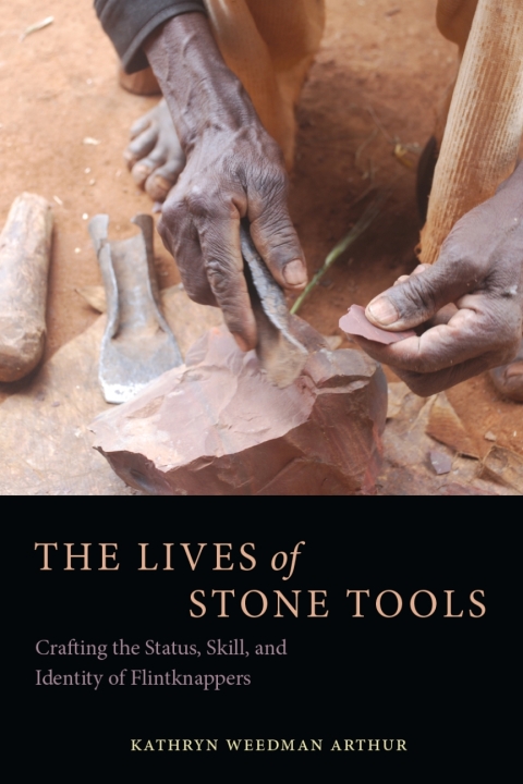 Cover image for book The Lives of Stone Tools