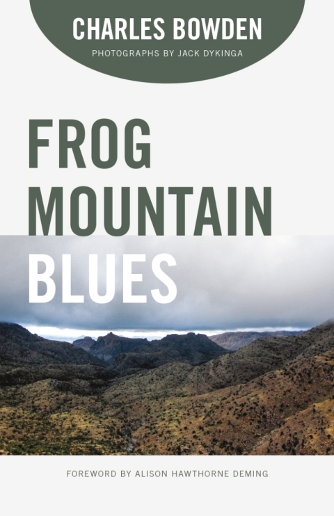 Cover image for book Frog Mountain Blues