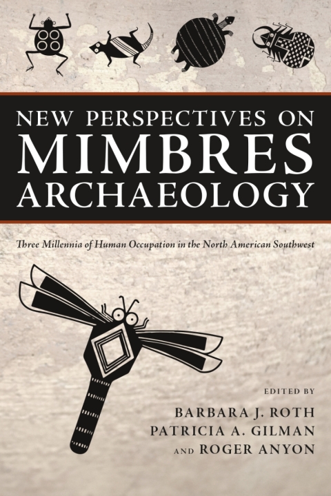 Cover image for book New Perspectives on Mimbres Archaeology