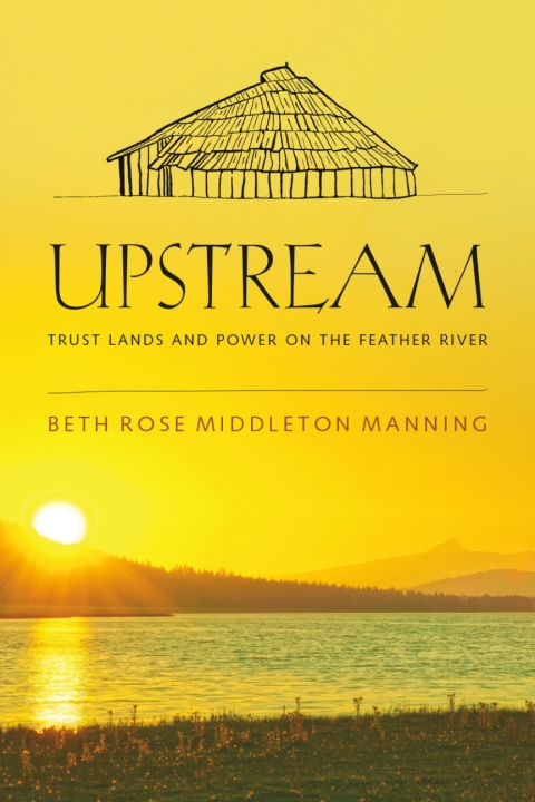 Cover image for book Upstream