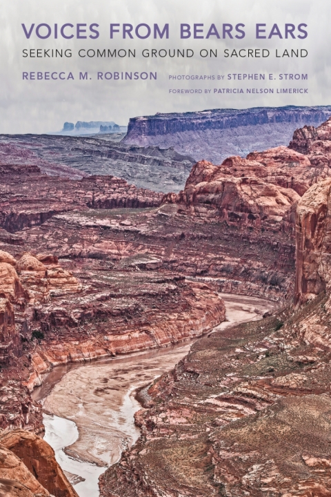 Cover image for book Voices from Bears Ears