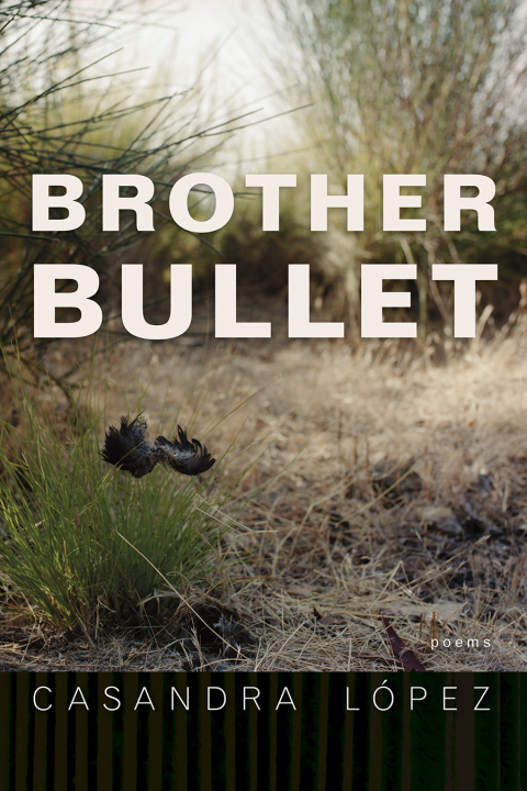 Cover image for book Brother Bullet