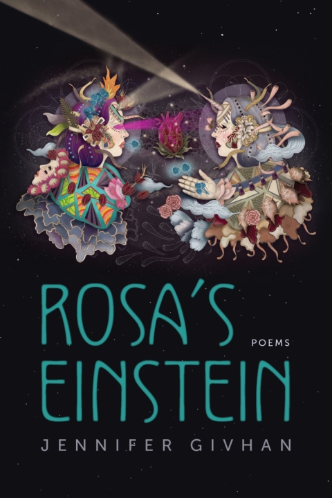 Cover image for book Rosa's Einstein