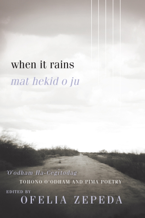 Cover image for book When It Rains