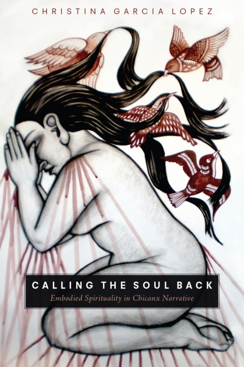 Cover image for book Calling the Soul Back