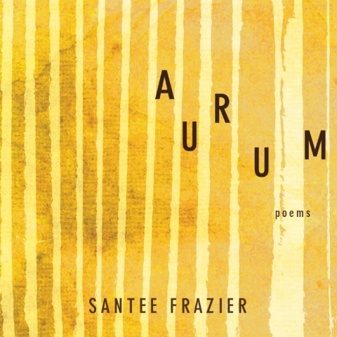 Cover image for book Aurum