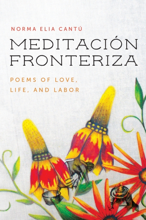 Cover image for book Meditación Fronteriza