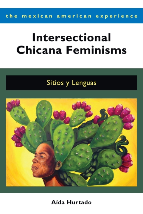 Cover image for book Intersectional Chicana Feminisms