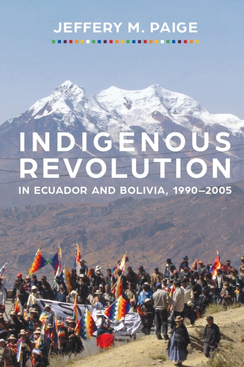 Cover image for book Indigenous Revolution in Ecuador and Bolivia, 1990–2005