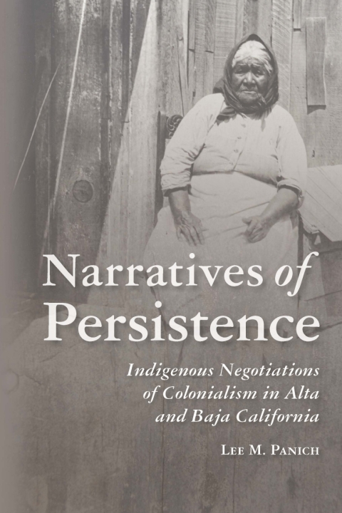 Cover image for book Narratives of Persistence