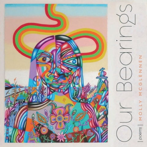 Cover image for book Our Bearings