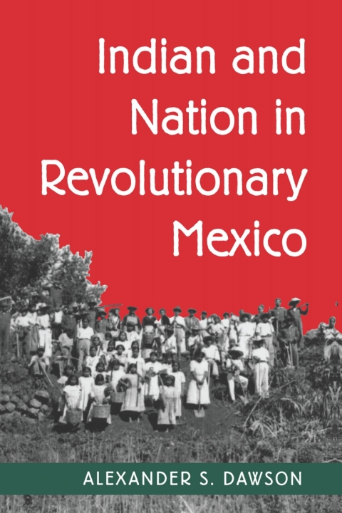 Cover image for book Indian and Nation in Revolutionary Mexico
