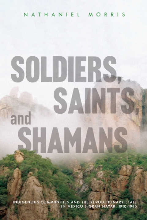 Cover image for book Soldiers, Saints, and Shamans