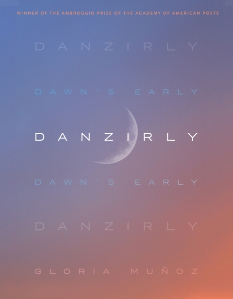 Cover image for book Danzirly