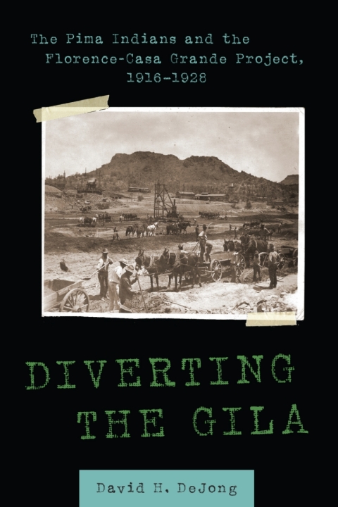 Cover image for book Diverting the Gila