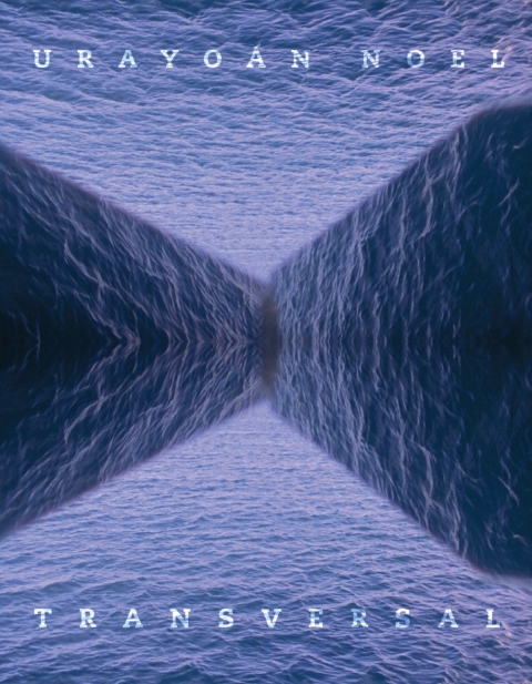 Cover image for book Transversal